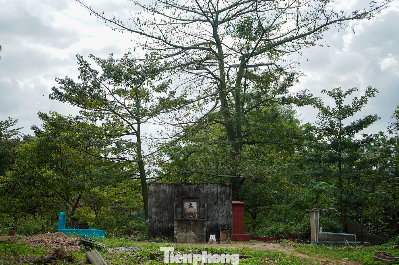 Nếu bốc mộ vào mùa khô, Citenco sẽ tạm ứng chi phí và khấu trừ khi thân nhân làm thủ tục nhận kinh phí di dời. Trong trường hợp bốc mộ vào thời gian còn lại, thân nhân thanh toán trực tiếp cho Citenco.