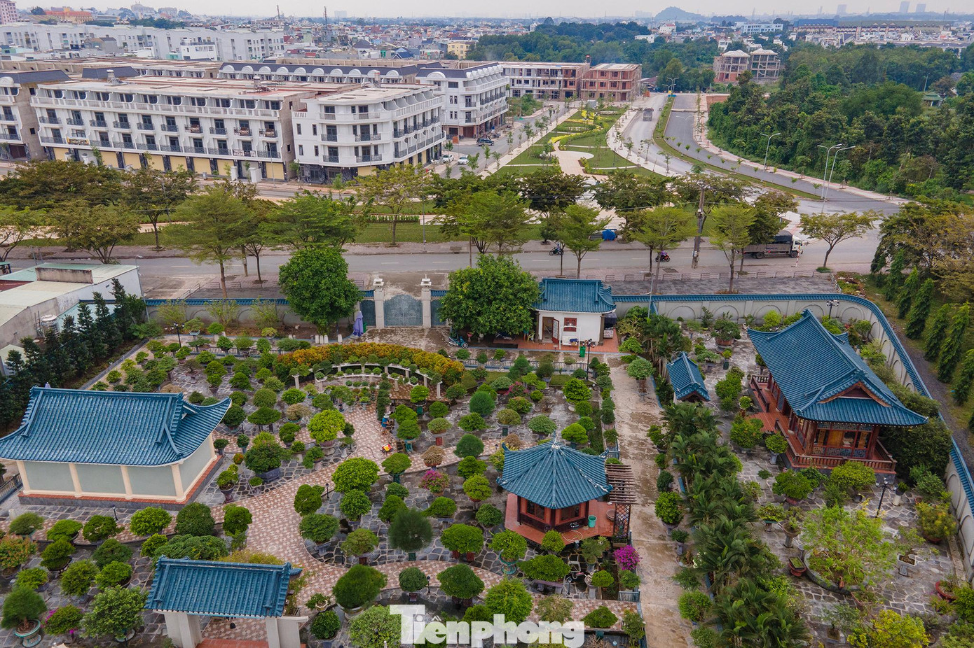 Khi dự án nhà ở đối diện phát triển và đưa vào vận hành, vườn nhà ông Thành sẽ có một vị trí thuận lợi cho việc giao thương...