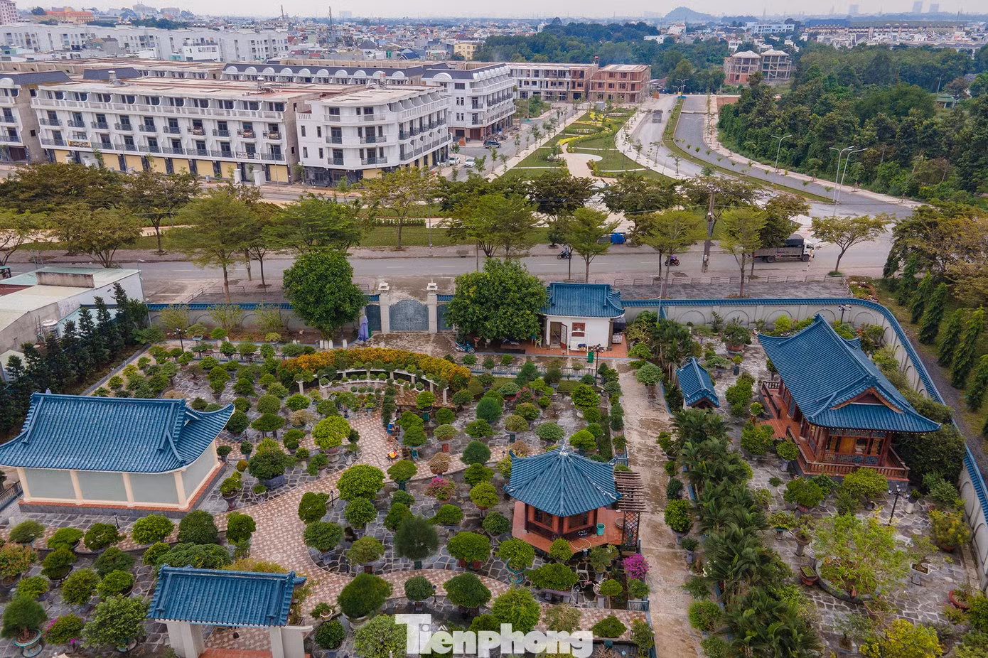 Khi dự án nhà ở đối diện phát triển và đưa vào vận hành, vườn nhà ông Thành sẽ có một vị trí thuận lợi cho việc giao thương...