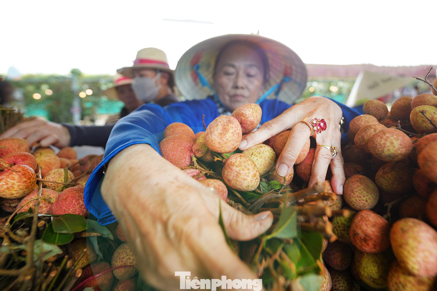 Chợ trái cây đặc sản - nơi quy tụ hàng trăm chủng loại trái cây đầu mùa cùng các sản phẩm OCOP của nhiều địa phương từ khắp vùng miền trên cả nước hội tụ; chất lượng tươi, ngon, giá rẻ hơn thị trường từ 20-30%. "Sầu riêng bên ngoài cũng 120.000-130.000 đồng một ký, trong này có 70.000 đồng. Mận Hà Nội ngoài chợ 30.000 đồng một ký, trong này có 17.000 đồng. Mít tố nữ thì trong này giá bán chỉ bằng một nửa so với bên ngoài... Quan trọng nhất là trái cây tươi ngon, chất lượng", bà Nguyễn Thị Trinh Thương (ngụ Đồng Nai) cho biết.