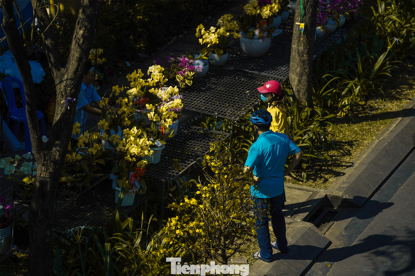 Hai vị khách này đang tìm lựa hoa chưng tết sáng 30 tháng Chạp ở khu vực công viên Hoàng Văn Thụ. Có thể thấy, chủ sạp hàng không còn nhiều loại để cho khách hàng lựa chọn. Mọi năm, đoạn đường này xe tải vào ra châm hàng liên tục những ngày cận tết.