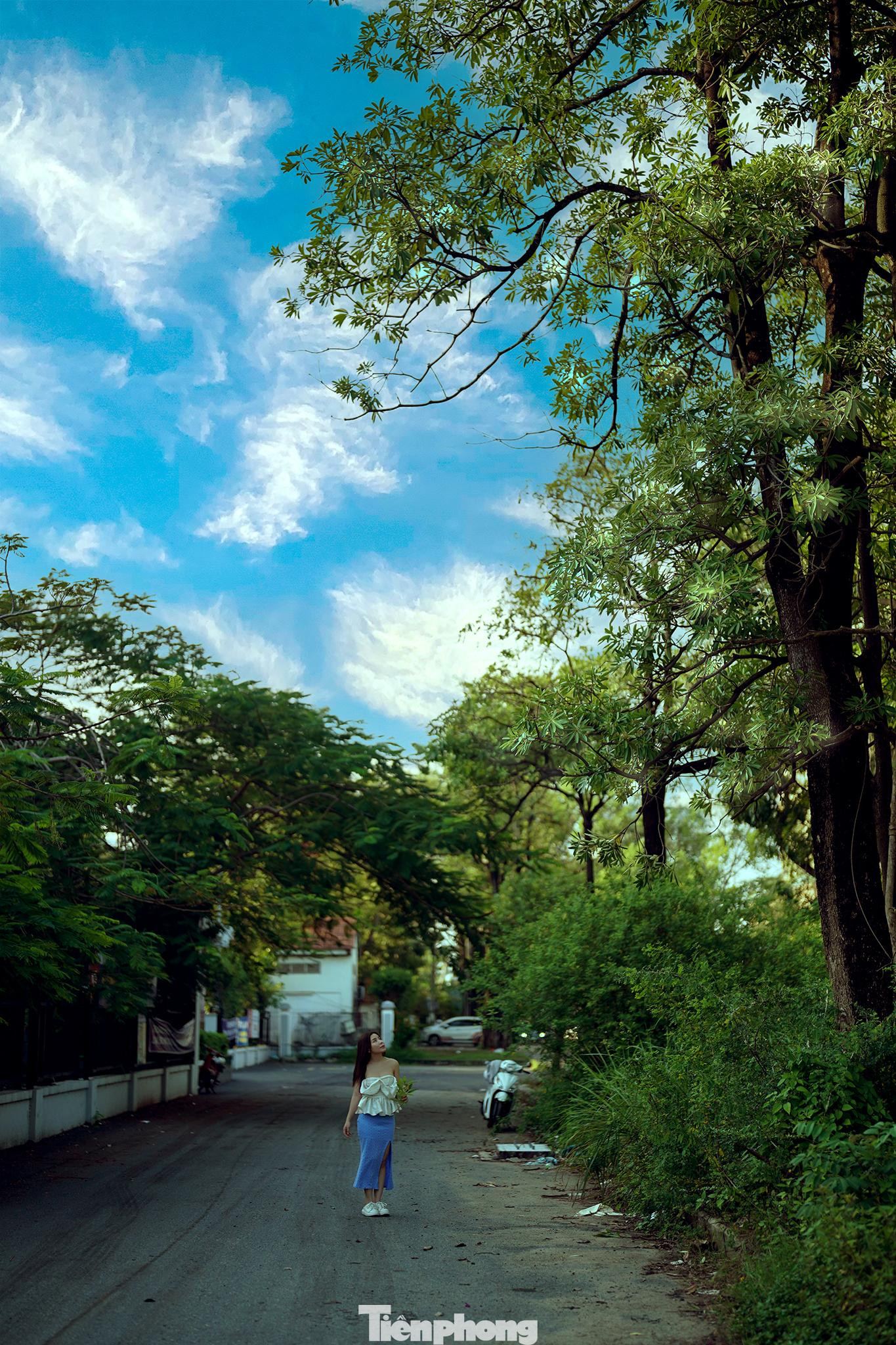 Khi TPHCM chớm thu, hoa sữa bắt đầu nở, mùi hương nồng nàn của hoa sữa theo gió trải dài trên khắp các con phố như mang chút tình tứ của mùa thu và ai ai cũng có thể cảm xúc tìm lướt trên mạng những lời tản mạn về hoa sữa.