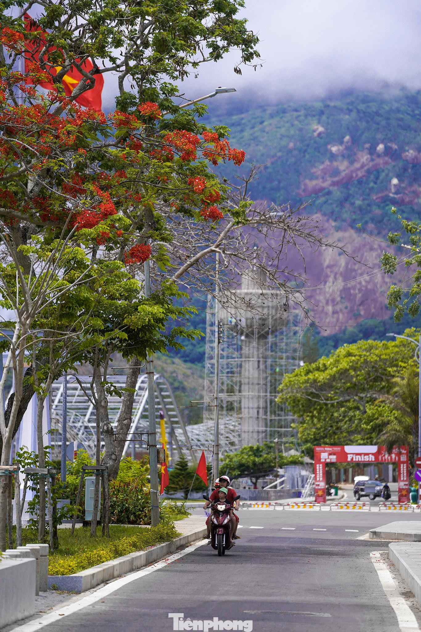 Khu vực trung tâm giải Tiền Phong Marathon 2022, hoa phượng bắt đầu khoe sắc. Khu vực trung tâm giải Tiền Phong Marathon 2022, hoa phượng bắt đầu khoe sắc.