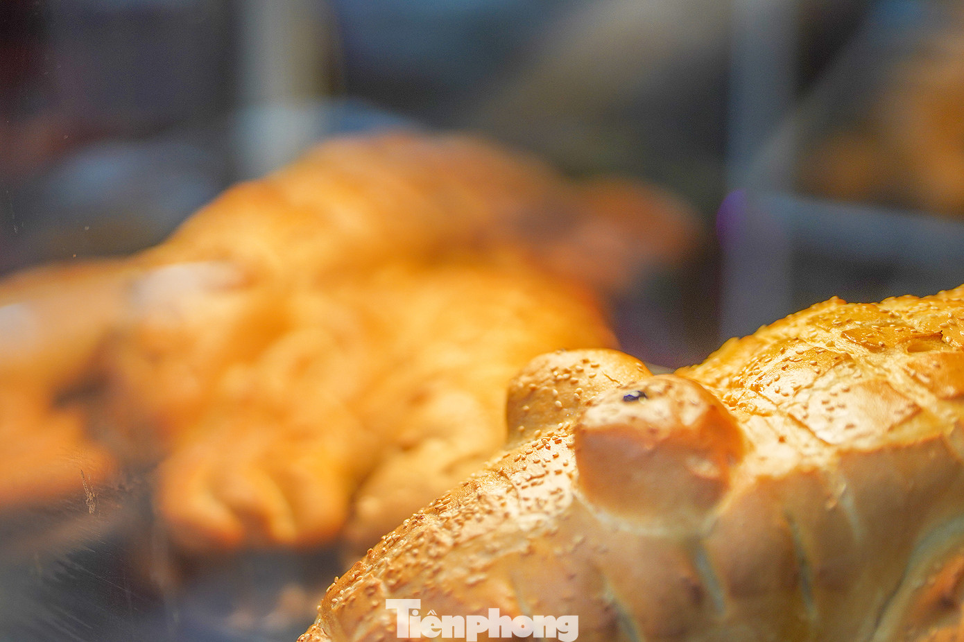 Đôi mắt thần thái của chú cá sấu cộng với những hạt mè óng ánh đường, bơ khiến vị giác nhiều thực khách kích thích.