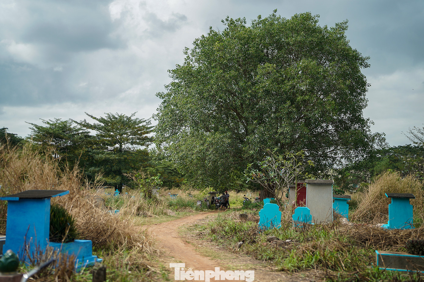 Bốc mộ xong, nhân viên công ty sẽ bàn giao tro cốt cho thân nhân. Sau khi hoàn tất thủ tục, thân nhân có mộ ở nghĩa trang Bình Hưng Hòa quay về Ban Bồi thường giải phóng mặt bằng quận Bình Tân nhận kinh phí hỗ trợ bốc mộ, di dời.