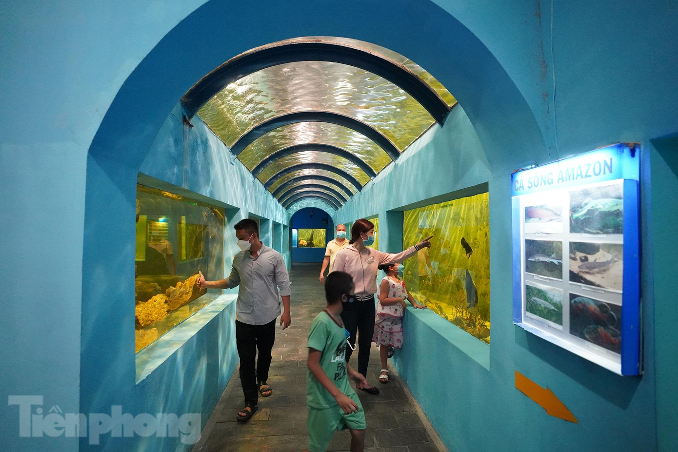 "Mùng 1-2 về ông bà, mùng 3 tinh thần thoải mái nên hôm nay mới cùng gia đình vào đây vui chơi. Cũng khoảng 5 năm rồi tôi chưa vào Đầm Sen. Hai năm qua, dịch bệnh phức tạp nên cũng không đi đâu được. Nhà tôi từ nhỏ đến lớn ít nhất đều đã hai mũi vaccine", anh Cao Minh (bên trái), ngụ huyện Nhà Bè đang tham quan Thuỷ Cung cho biết.