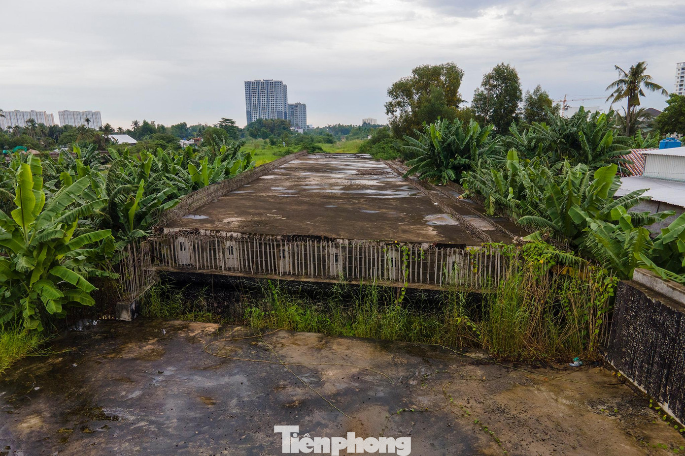 Cây cối, dây leo mọc um tùm, hoang tàn như một phế tích. Cây cối, dây leo mọc um tùm, hoang tàn như một phế tích.