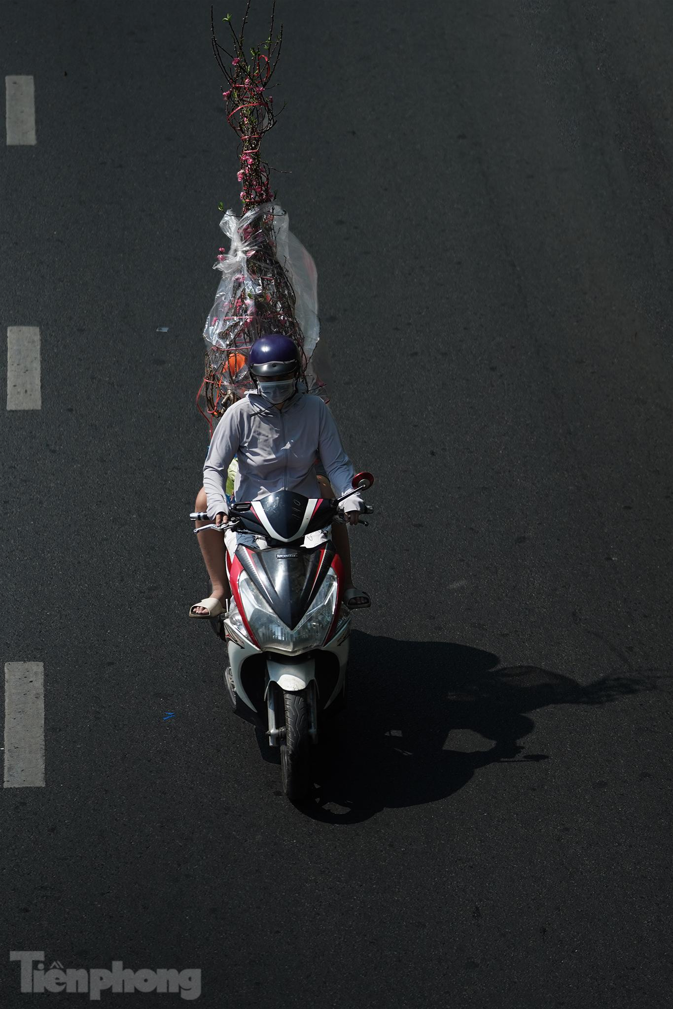 Nhiều người dân thong dong đi sắm Tết trong ngày cuối năm. Trong ảnh: Một người dân vừa mua chậu đào trong công viên Hoàng Văn Thụ thời điểm các chủ hoa phải trả mặt bằng.