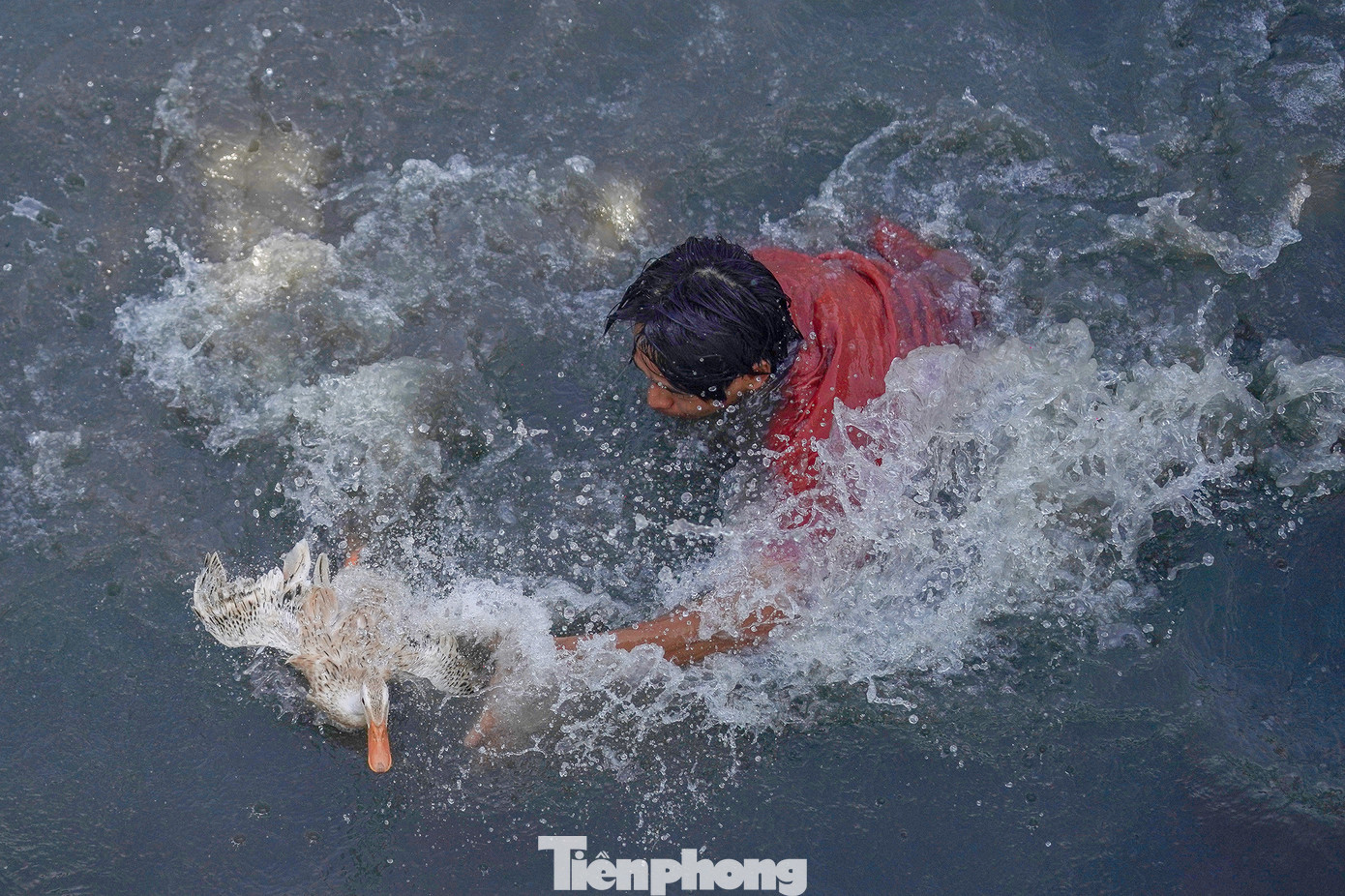 Chị Lê Tuyết Nhân Tâm (ngụ tỉnh Bình Dương) chia sẻ: "Hôm qua, tôi và gia đình đã cúng ở chùa Bà rồi. Hôm nay, tranh thủ xuống Tầm Vu tham gia lễ hội Làm Chay. Nhà tôi đi từ sáng nhưng đến nơi đúng vào lúc đi diễu hành Chiêu U nên giờ mới chen vô đây được. Nghe nhiều người nói cuộc thi này vui lắm. Công nhận mấy người bắt vịt hay thật. Tôi cứ nghĩ là bắt tay không khó lắm nhưng con nào thả xuống là bị mất con đó ngay".