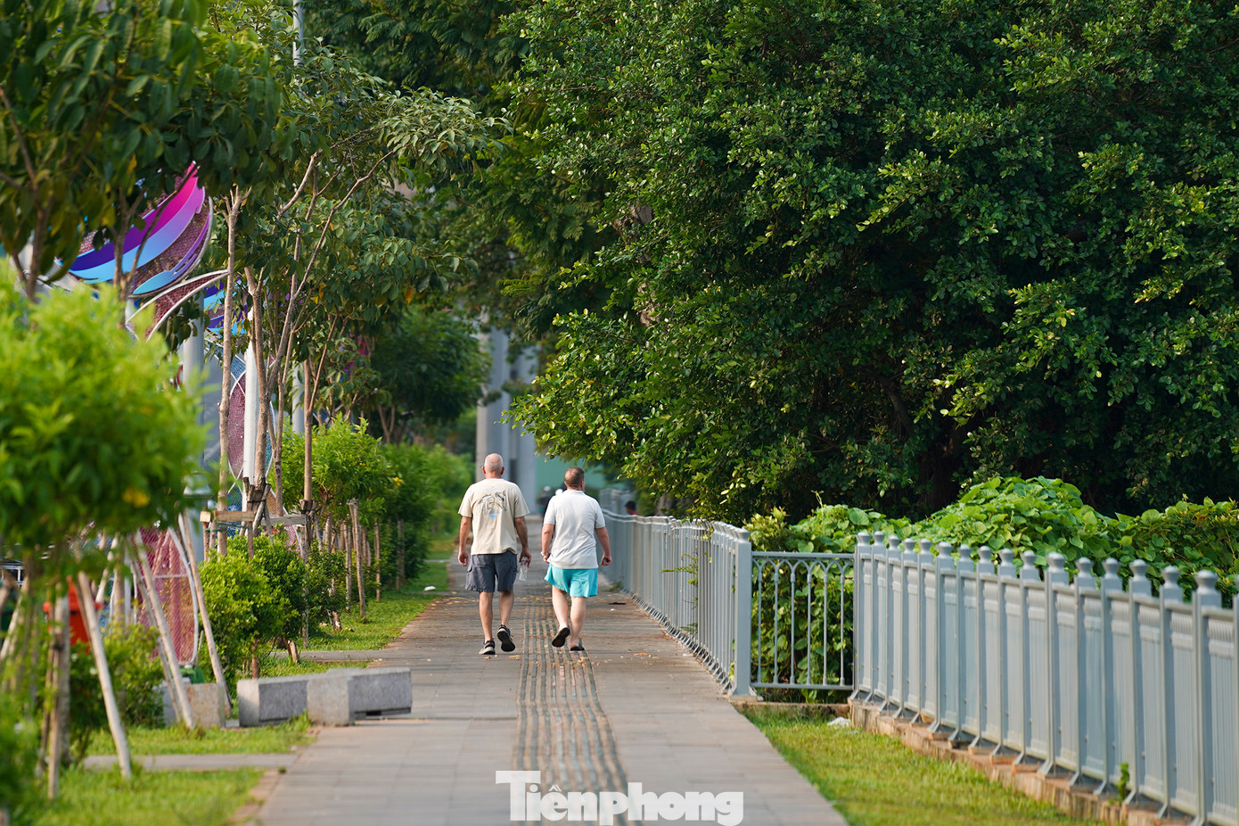 Vòm cây thơ mộng trên bến Bạch Đằng, phía gần chân cầu Thủ Thiêm 2.