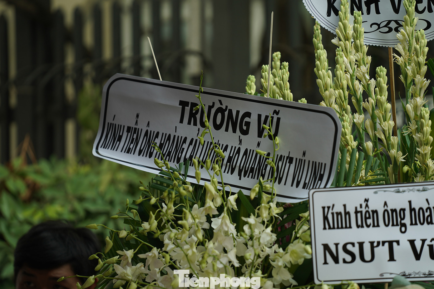 Một số nghệ sĩ hải ngoại cũng gửi vòng hoa chia buồn.