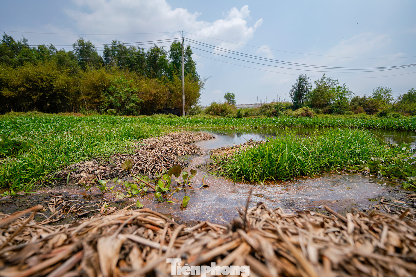 Theo ghi nhận của phóng viên, khu vực ngay phía sau bãi rác, dọc Kênh 18 (xã Thái Mỹ) là nơi hứng chịu nhiều mùi hôi nhất. Thông tin từ UBND huyện Củ Chi, mặc dù chỉ có xã Thái Mỹ và Phước Hiệp là 2 địa phương bao quanh khu vực xử lý rác, nhưng lại có đến 7 xã và thị trấn Củ Chi (huyện Củ Chi) ghi nhận có hộ dân bị ảnh hưởng bởi mùi hôi, đất đai ô nhiễm và nước sinh hoạt. Theo ghi nhận của phóng viên, khu vực ngay phía sau bãi rác, dọc Kênh 18 (xã Thái Mỹ) là nơi hứng chịu nhiều mùi hôi nhất. Thông tin từ UBND huyện Củ Chi, mặc dù chỉ có xã Thái Mỹ và Phước Hiệp là 2 địa phương bao quanh khu vực xử lý rác, nhưng lại có đến 7 xã và thị trấn Củ Chi (huyện Củ Chi) ghi nhận có hộ dân bị ảnh hưởng bởi mùi hôi, đất đai ô nhiễm và nước sinh hoạt.