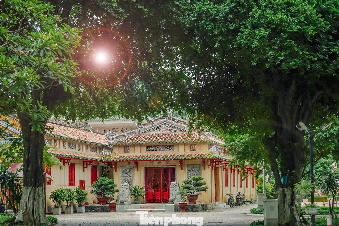 Nơi đây có nhiều đại thụ, toả bóng mát quanh năm. Nơi đây có nhiều đại thụ, toả bóng mát quanh năm.