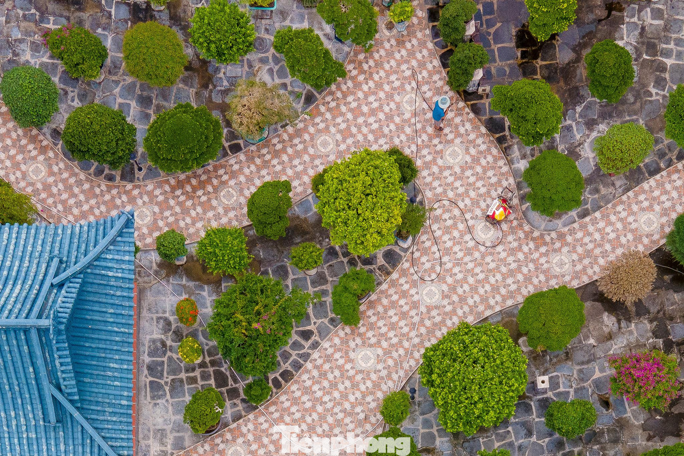 Hiện tại, bên trong vẫn có người làm vườn, chăm sóc cây cảnh.