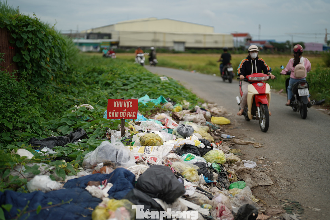 Dù có biển cấm nhưng rác thải vẫn bị vứt đầy. Dù có biển cấm nhưng rác thải vẫn bị vứt đầy.