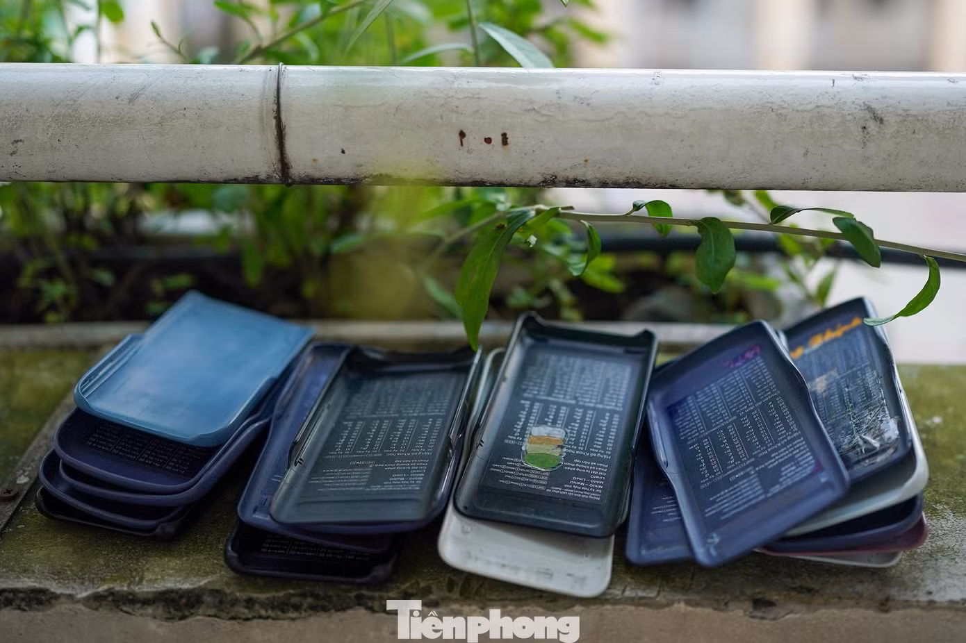 Toàn bộ ốp lưng máy tính được để bên ngoài phòng thi.