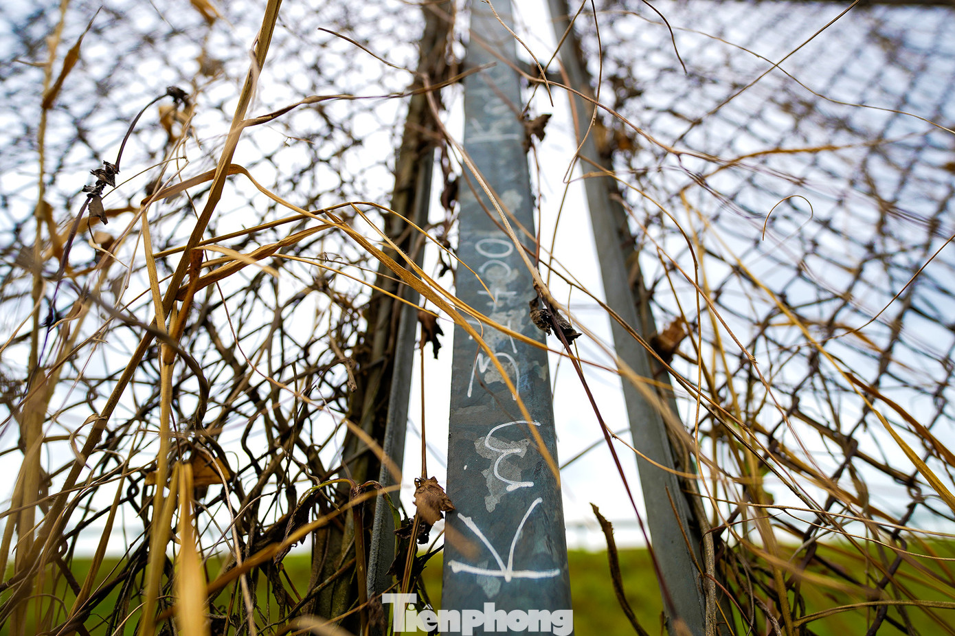 Nhiều đoạn đường biến thành nơi tập kết rác trộm và rác thải sinh hoạt, tạo nên hình ảnh ô nhiễm, mất mỹ quan.