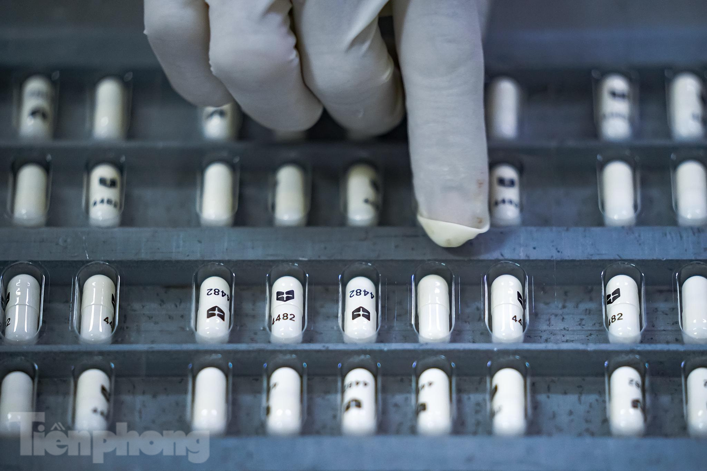 Hiện nay, với tiến độ mỗi ngày chạy 3 ca và 4 thiết bị đóng nén, mỗi tháng nhà máy có thể cung ứng ra thị trường khoảng 100 triệu viên Molnupiravir.