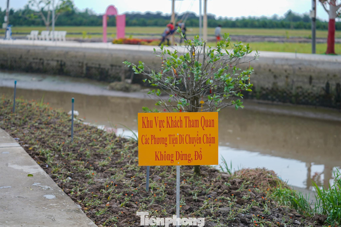 Một số quy định cần lưu ý khi vào phố ông Lang. Một số quy định cần lưu ý khi vào phố ông Lang.