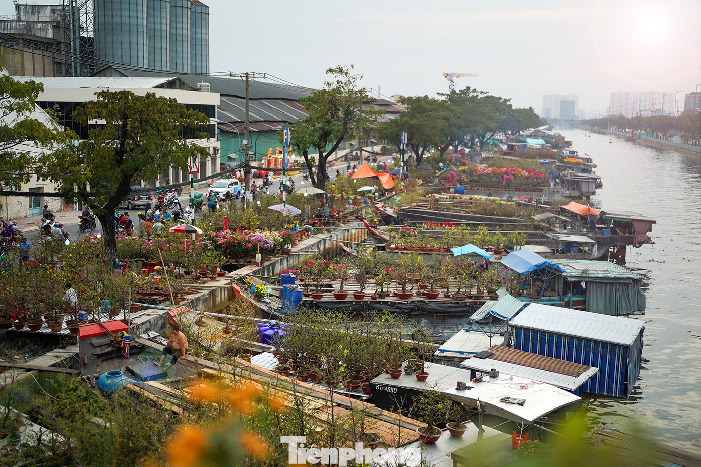 Các tiểu thương từ các nhà vườn cho biết năm nay số lượng kiểng chở từ vườn lên tương đồng như năm ngoái. Mỗi hộ kinh doanh mang từ 200 - 500 gốc mai, tắc hoặc hoa giấy lên bán.