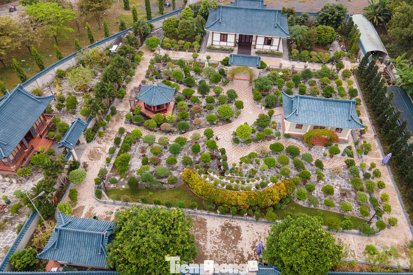 Thời gian gần đây, nhiều cây cảnh tại khu vườn này đã được rao bán.