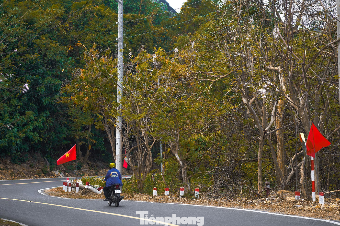 Hoa đào khoe sắc ở đường chạy Bến Đầm. Hoa đào khoe sắc ở đường chạy Bến Đầm.