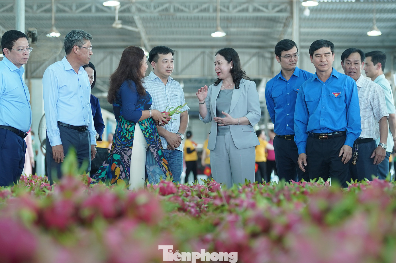 Quyền Chủ tịch nước Võ Thị Ánh Xuân và đoàn công tác thăm, động viên bà con trong vùng nguyên liệu thanh long ở tỉnh Bình Thuận