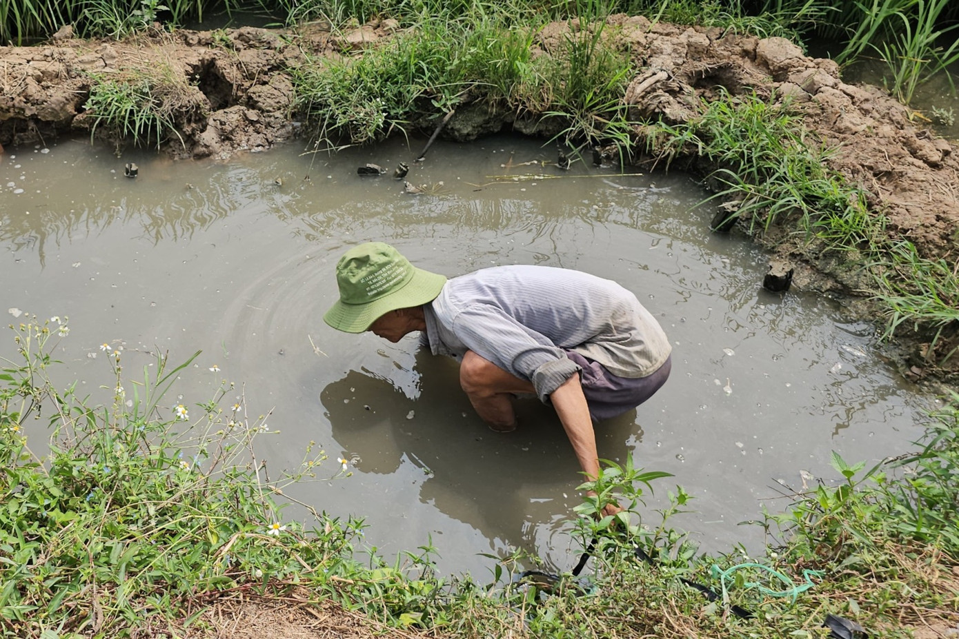 Theo ông Huỳnh Chí Dũng (62 tuổi, xã Nhị Thành, huyện Thủ Thừa), nước thải theo đường cống ra kênh Bàu Trang ô nhiễm đen thui. "Từ lúc nước bị ô nhiễm, việc sản xuất lúa bị ảnh hưởng nhiều, lúa trổ không đều, năng suất giảm khoảng 20% so với trước đây. Nhiều lần chúng tôi đã có ý kiến với chính quyền địa phương nhưng được trả lời là đường cao tốc do cấp bộ quản lý nên đành chịu", ông Dũng nói. Theo ông Huỳnh Chí Dũng (62 tuổi, xã Nhị Thành, huyện Thủ Thừa), nước thải theo đường cống ra kênh Bàu Trang ô nhiễm đen thui. "Từ lúc nước bị ô nhiễm, việc sản xuất lúa bị ảnh hưởng nhiều, lúa trổ không đều, năng suất giảm khoảng 20% so với trước đây. Nhiều lần chúng tôi đã có ý kiến với chính quyền địa phương nhưng được trả lời là đường cao tốc do cấp bộ quản lý nên đành chịu", ông Dũng nói.
