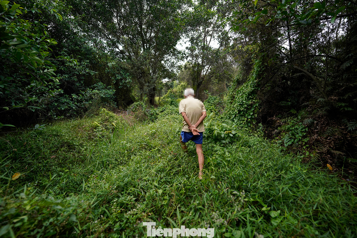 Ông Năm, chồng bà Năm dẫn PV ra sau khu vườn cạnh bãi rác và bày tỏ: “Gió lên là hôi. Ngày nào cũng hôi. Ngửi riết không cần ăn cơm luôn!”. Ông Năm cho hay, trước đây, quanh nhà là những bãi cỏ xanh ngắt nên ông thường đến đó để cắt cỏ cho bò. Tuy nhiên, những năm gần đây ông phải tìm cỏ ở nơi khác hoặc mua rơm, rạ cho đàn bò. Ông Năm, chồng bà Năm dẫn PV ra sau khu vườn cạnh bãi rác và bày tỏ: “Gió lên là hôi. Ngày nào cũng hôi. Ngửi riết không cần ăn cơm luôn!”. Ông Năm cho hay, trước đây, quanh nhà là những bãi cỏ xanh ngắt nên ông thường đến đó để cắt cỏ cho bò. Tuy nhiên, những năm gần đây ông phải tìm cỏ ở nơi khác hoặc mua rơm, rạ cho đàn bò.