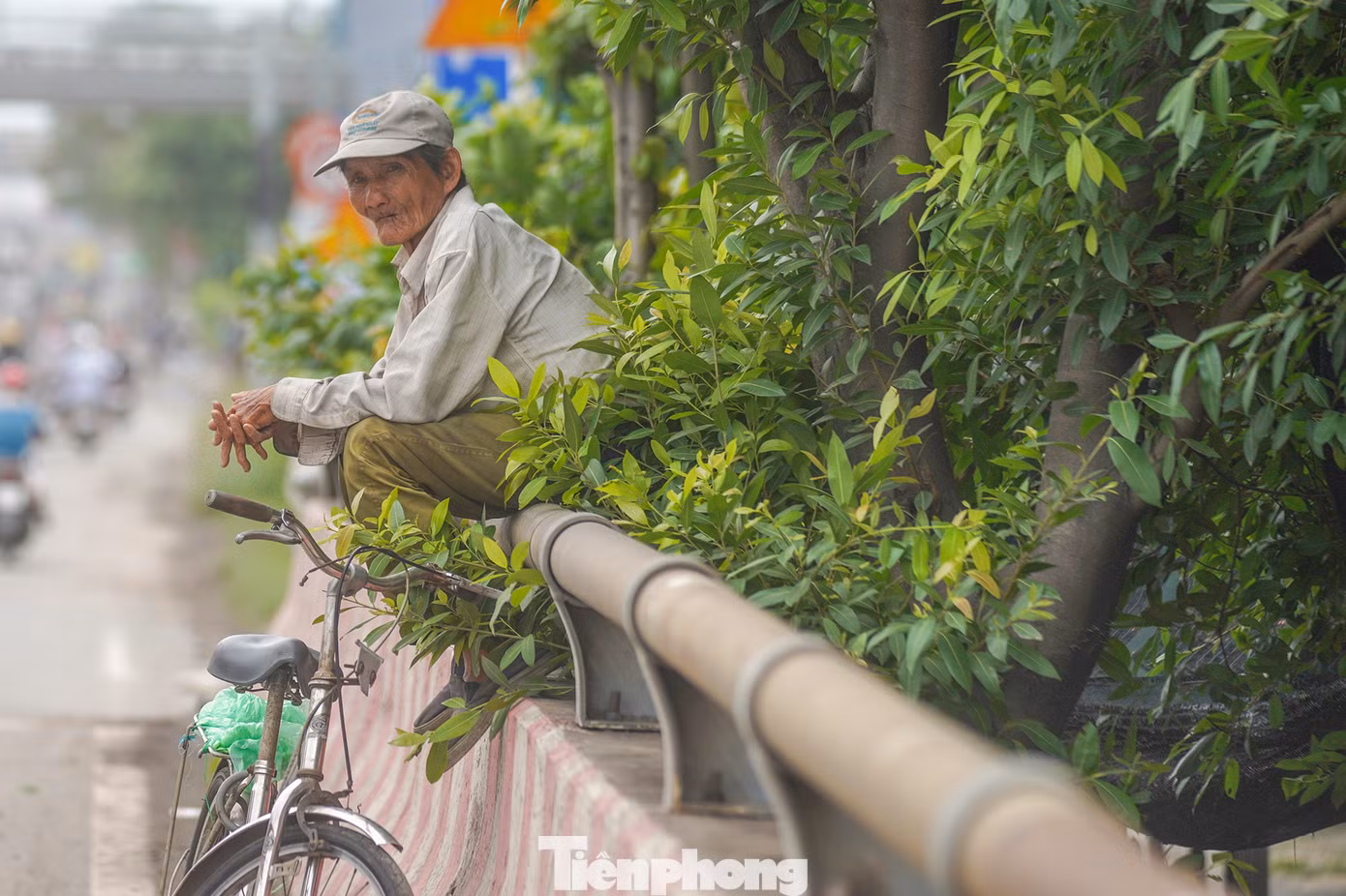 "Nhìn cái lan can cầu là biết nó bụi như thế nào. Xe thì đông, đường thì bụi, tôi ngồi nghỉ đợi bớt xe tí rồi đi tiếp", người đàn ông này nói khi ngồi trên cầu Cả Bốn. "Nhìn cái lan can cầu là biết nó bụi như thế nào. Xe thì đông, đường thì bụi, tôi ngồi nghỉ đợi bớt xe tí rồi đi tiếp", người đàn ông này nói khi ngồi trên cầu Cả Bốn.