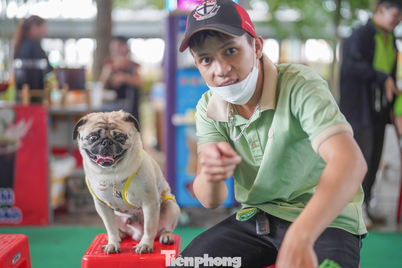 Đây là năm thứ 2 ngày hội thú cưng được tổ chức, quy tụ đông đảo cộng đồng yêu động vật đến vui chơi, giao lưu với hơn 600 ứng viên chó, mèo tham gia dự thi như chó Poodle, chó Pug, mèo Anh lông dài, mèo Scottish tai cụp, chuột Hamster, thỏ trắng New Zealand…