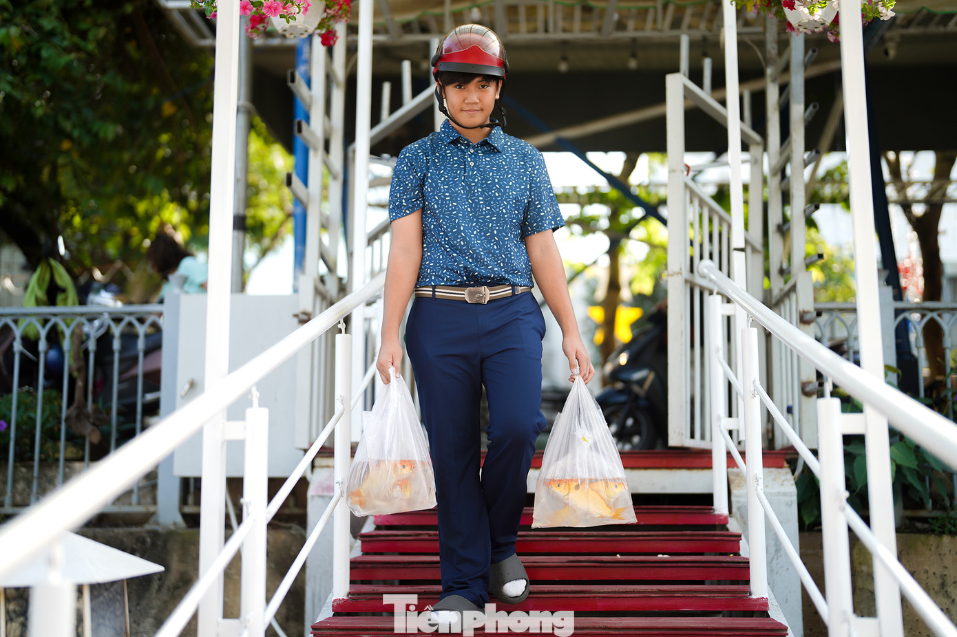 Em Hoàng Bách phụ mẹ đi thả cá phóng sinh. Em Hoàng Bách phụ mẹ đi thả cá phóng sinh.