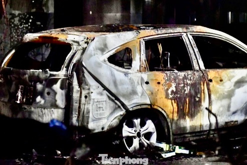 Ngày 20/4/2018, Cơ quan Cảnh sát điều tra Công an TPHCM đã ra quyết định khởi tố bị can, bắt tạm giam ông Nguyễn Văn Tùng (sinh năm 1977, quê quán Bình Định) - Giám đốc Công ty TNHH Xây dựng – Thương mại – Dịch vụ - Sản xuất Hùng Thanh (Công ty Hùng Thanh) chủ đầu tư dự án chung cư Carina Plaza vừa xảy ra cháy làm 13 người chết, 91 người bị thương. Ngày 20/4/2018, Cơ quan Cảnh sát điều tra Công an TPHCM đã ra quyết định khởi tố bị can, bắt tạm giam ông Nguyễn Văn Tùng (sinh năm 1977, quê quán Bình Định) - Giám đốc Công ty TNHH Xây dựng – Thương mại – Dịch vụ - Sản xuất Hùng Thanh (Công ty Hùng Thanh) chủ đầu tư dự án chung cư Carina Plaza vừa xảy ra cháy làm 13 người chết, 91 người bị thương.