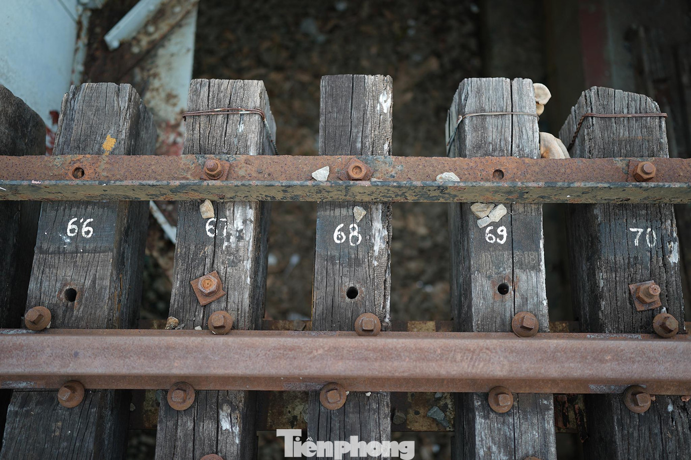 Dấu tích những thanh gỗ đỡ đường ray vẫn còn khá nguyên vẹn.