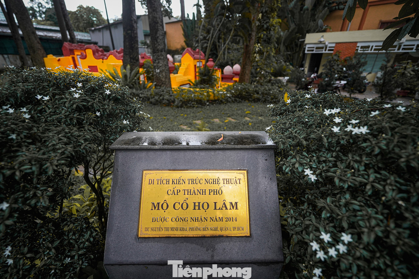 Mộ cổ họ Lâm là di tích kiến trúc nghệ thuật cấp thành phố, được công nhận năm 2014. Nếu xuôi theo đường Trương Định (một chiều) qua công viên Tao Đàn thì ngôi mộ cổ nằm phía bên phải.