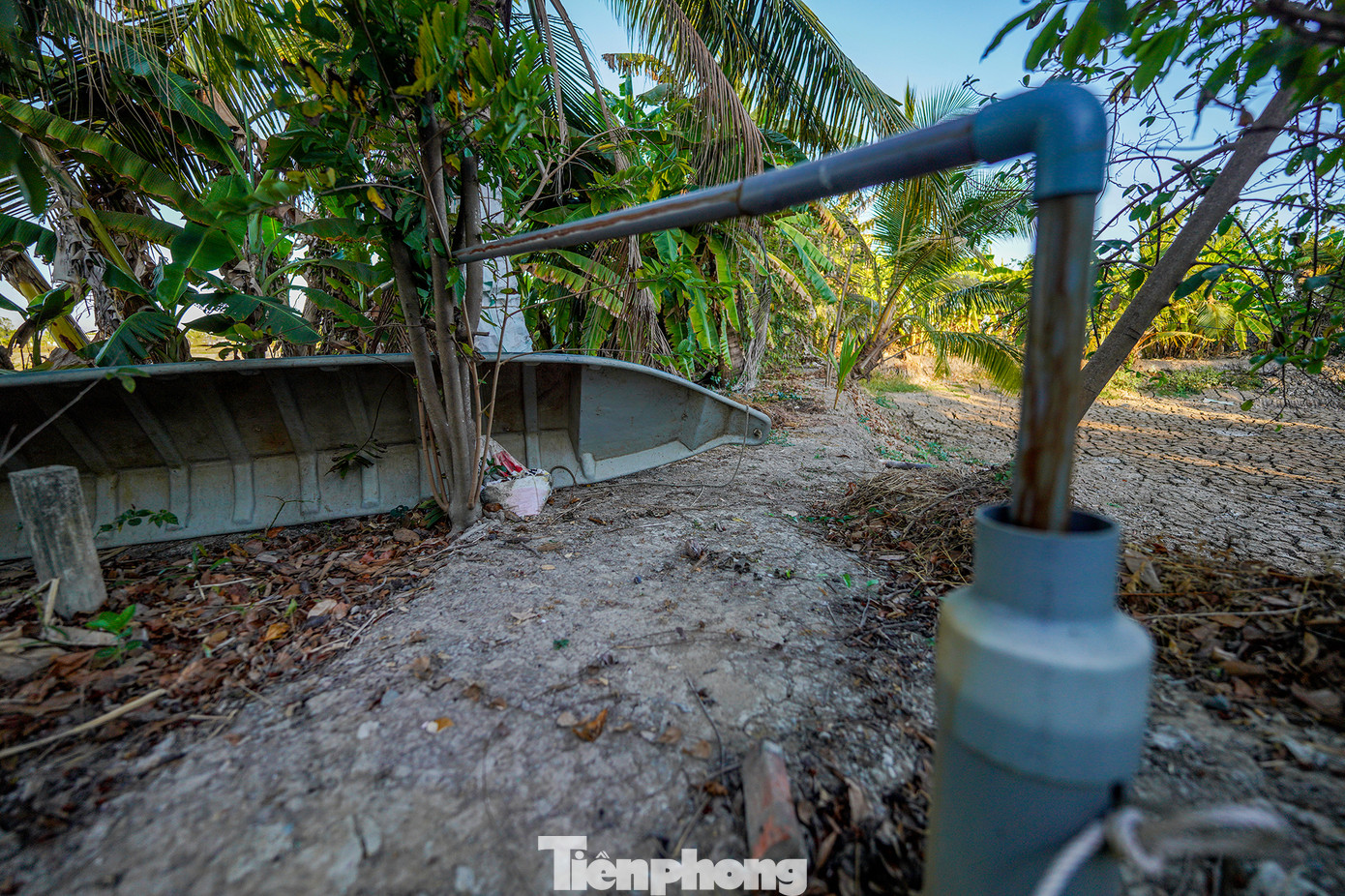 Xót xa hình ảnh vật dụng phục vụ nuôi cá, nuôi tôm phải xếp vào một gốc. Theo người dân một số người dân xã Tân Tập thì đã hai tháng sống trong tình trạng thiếu nước nghiêm trọng. Xót xa hình ảnh vật dụng phục vụ nuôi cá, nuôi tôm phải xếp vào một gốc. Theo người dân một số người dân xã Tân Tập thì đã hai tháng sống trong tình trạng thiếu nước nghiêm trọng.