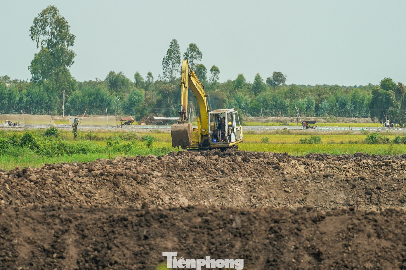 Một tài xế máy xúc đang thi công đào ao tôm trên đất lúa. Một tài xế máy xúc đang thi công đào ao tôm trên đất lúa.