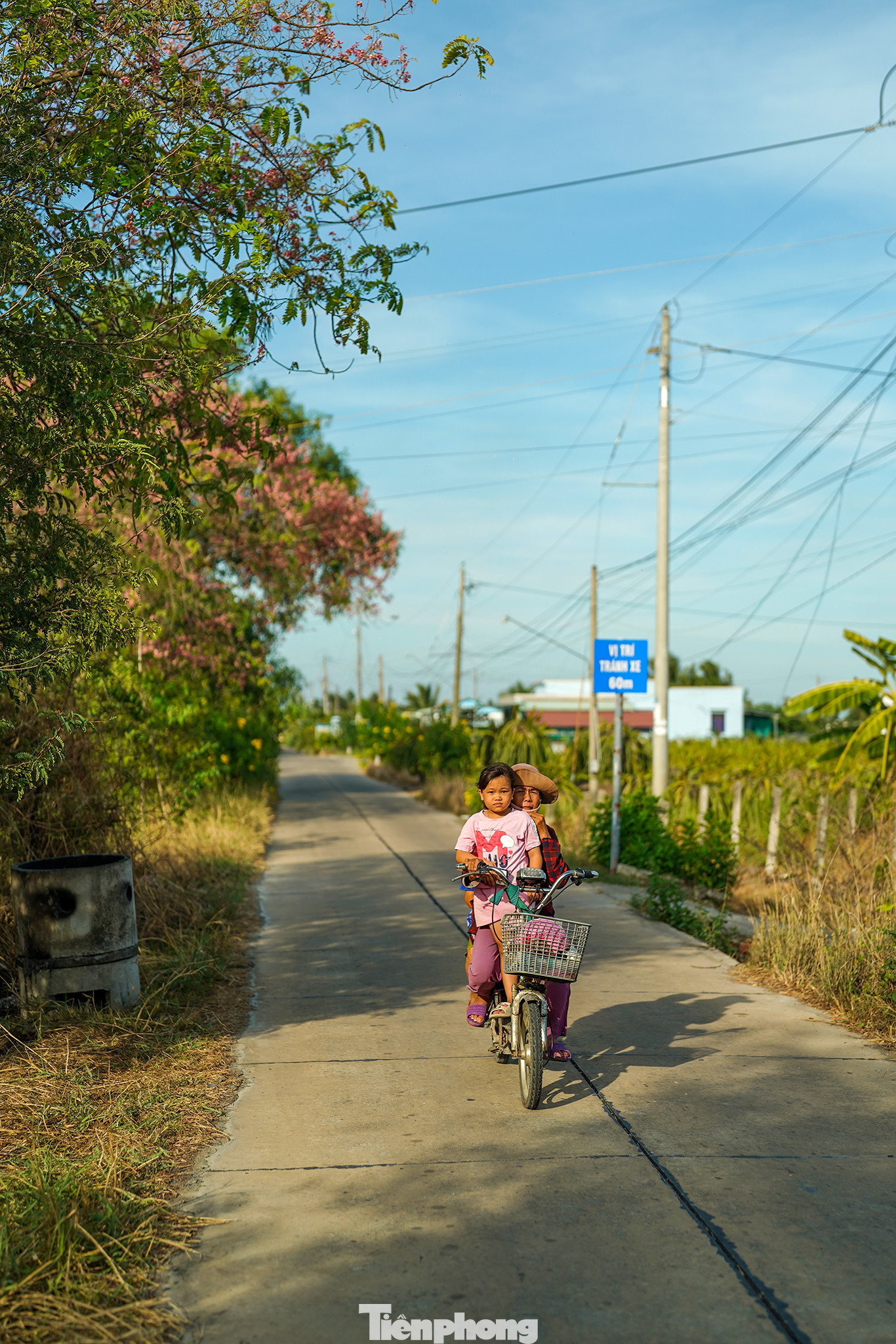 Ngoài Châu Thành (Long An), mùa này, nếu muốn ngắm hoa ô môi, du khách có thể về các huyện Cao Lãnh, Tam Nông (Đồng Tháp), Tân Châu, Tịnh Biên (An Giang)...