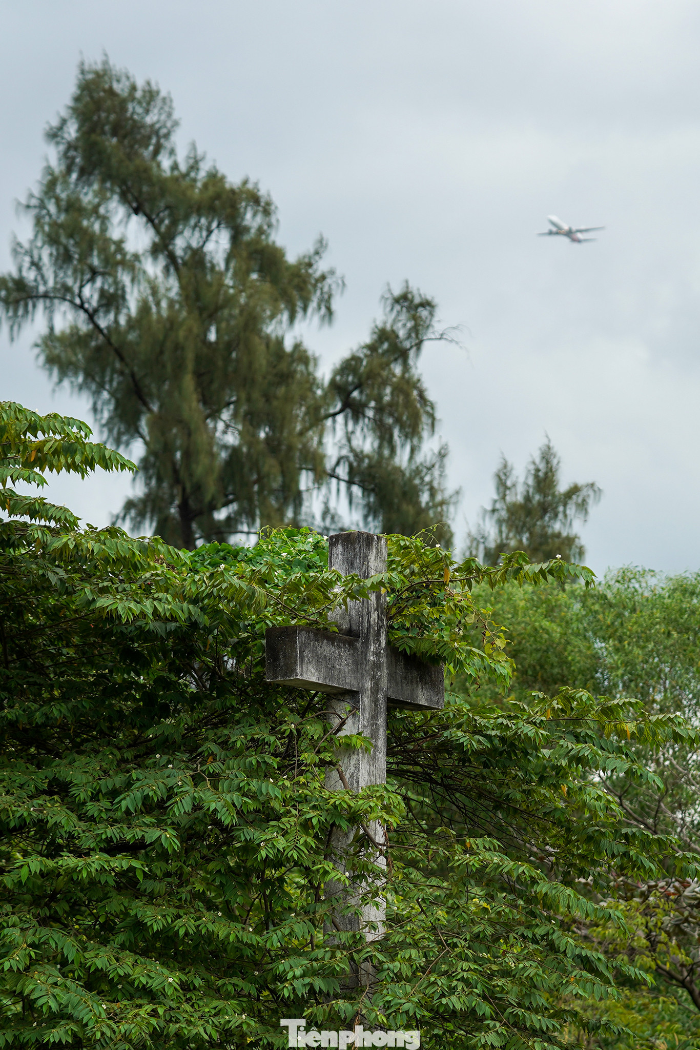 Dấu hoang phế ở khu đất Thánh.