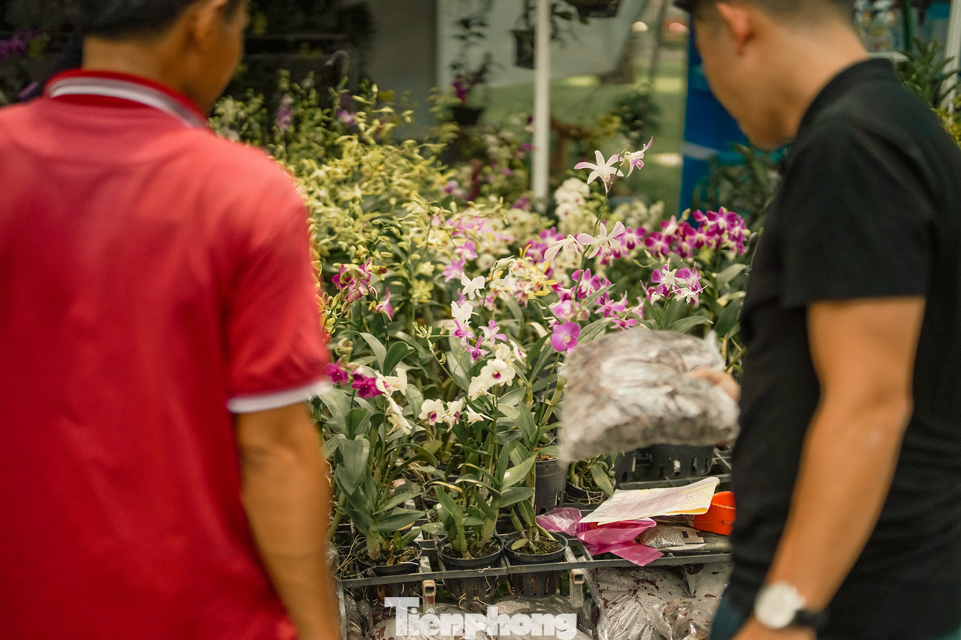Lễ hội cũng mang đến nhiều sản phẩm phục vụ cho việc trồng hoa cũng như nhiệt tình tư vấn chuyên môn cho người trồng.
