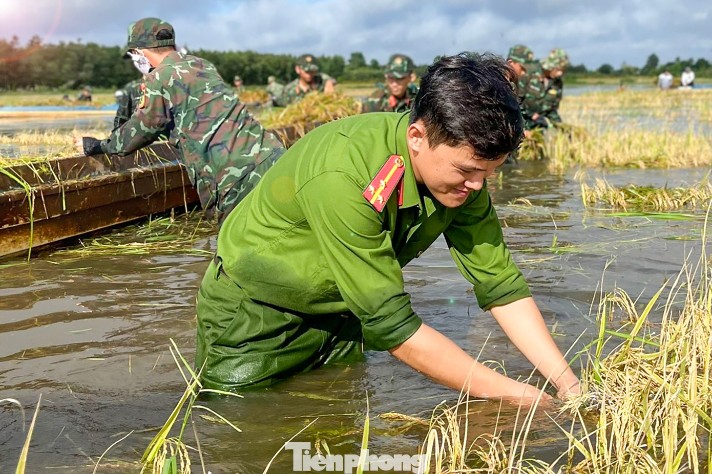 Lúa hè thu gieo sạ muộn của người dân chìm trong nước lũ, nhiều khả năng mất trắng nếu không kịp thu hoạch. Theo thống kê, hiện xã Thuận Bình có 14 hecta lúa tại ấp T3, Trà Cú và ấp Gãy đang trong giai đoạn thu hoạch đã bị nước ngập phủ hết thân lúa. Ảnh: Biện Cường