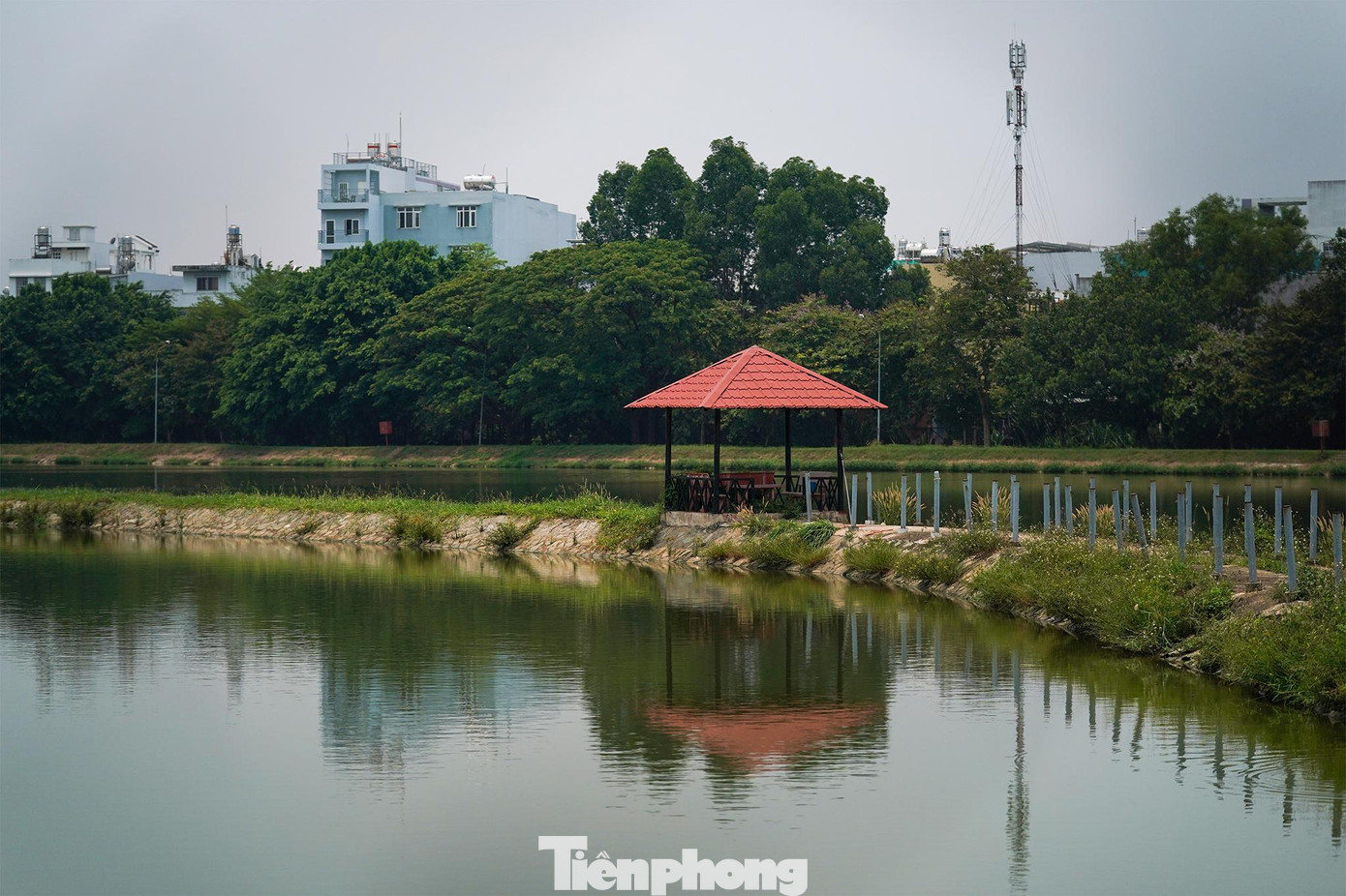 Đoạn đường Kênh Nước Đen còn có thêm một khung cảnh khá thơ mộng chính là hồ xử lý nước thải Bình Hưng Hoà.
