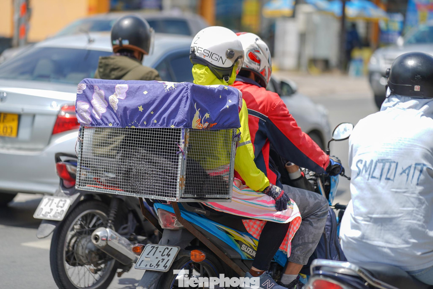 Một biện pháp an toàn khi chở thú cưng đi đường xa.