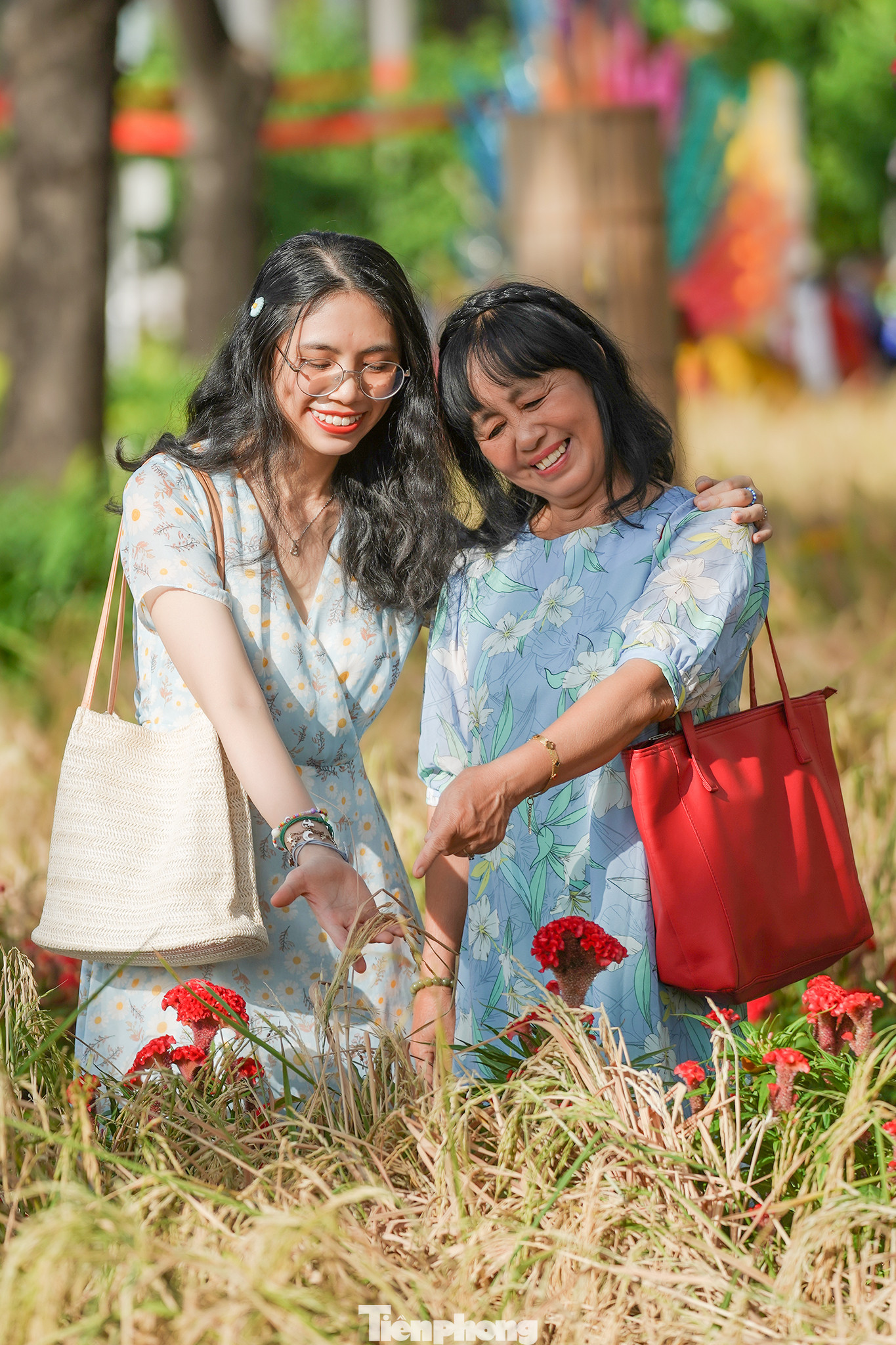 Cô Phạm Thị Kim Lang chụp ảnh cùng con gái là bạn Nguyễn Phạm Ngọc Phượng bên rẫy lúa thật dưới ráng chiều.