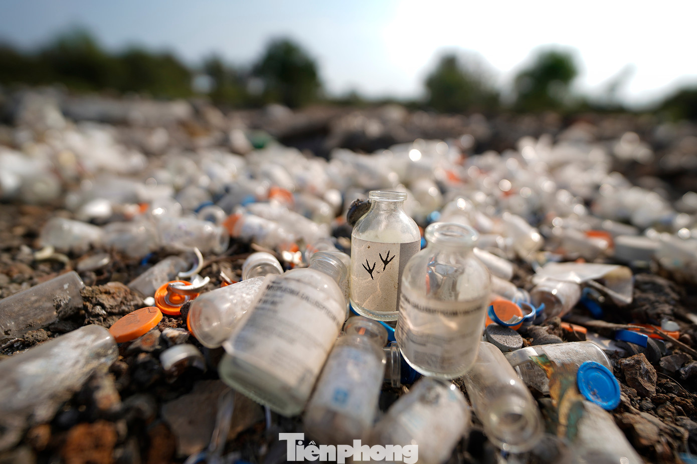 Khó có thể hình dung môi trường sẽ thế nào khi những chai lọ thuỷ tinh mất đến... một triệu năm để phân huỷ hoàn toàn.