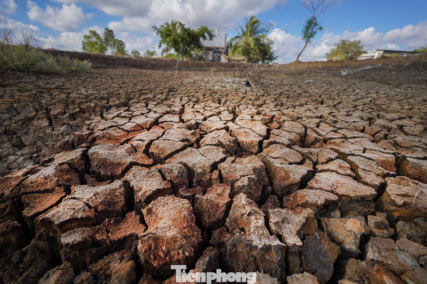 Một hồ nước trơ đáy ở xã Đông Thạnh. Có thể nhận thấy các tinh thể phản chiếu ánh mặt trời trên những phần đất khô cằn, nứt nẻ. Một hồ nước trơ đáy ở xã Đông Thạnh. Có thể nhận thấy các tinh thể phản chiếu ánh mặt trời trên những phần đất khô cằn, nứt nẻ.