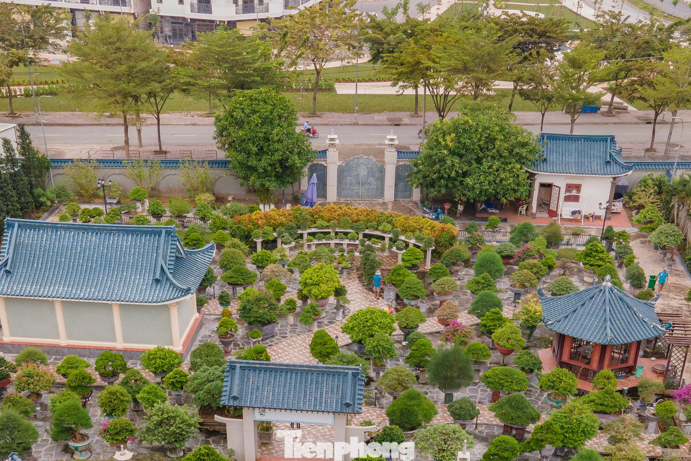 Hiện tại, theo nhiều thông tin thì một số loại cây quý trong vườn đã được rao bán trên mạng.