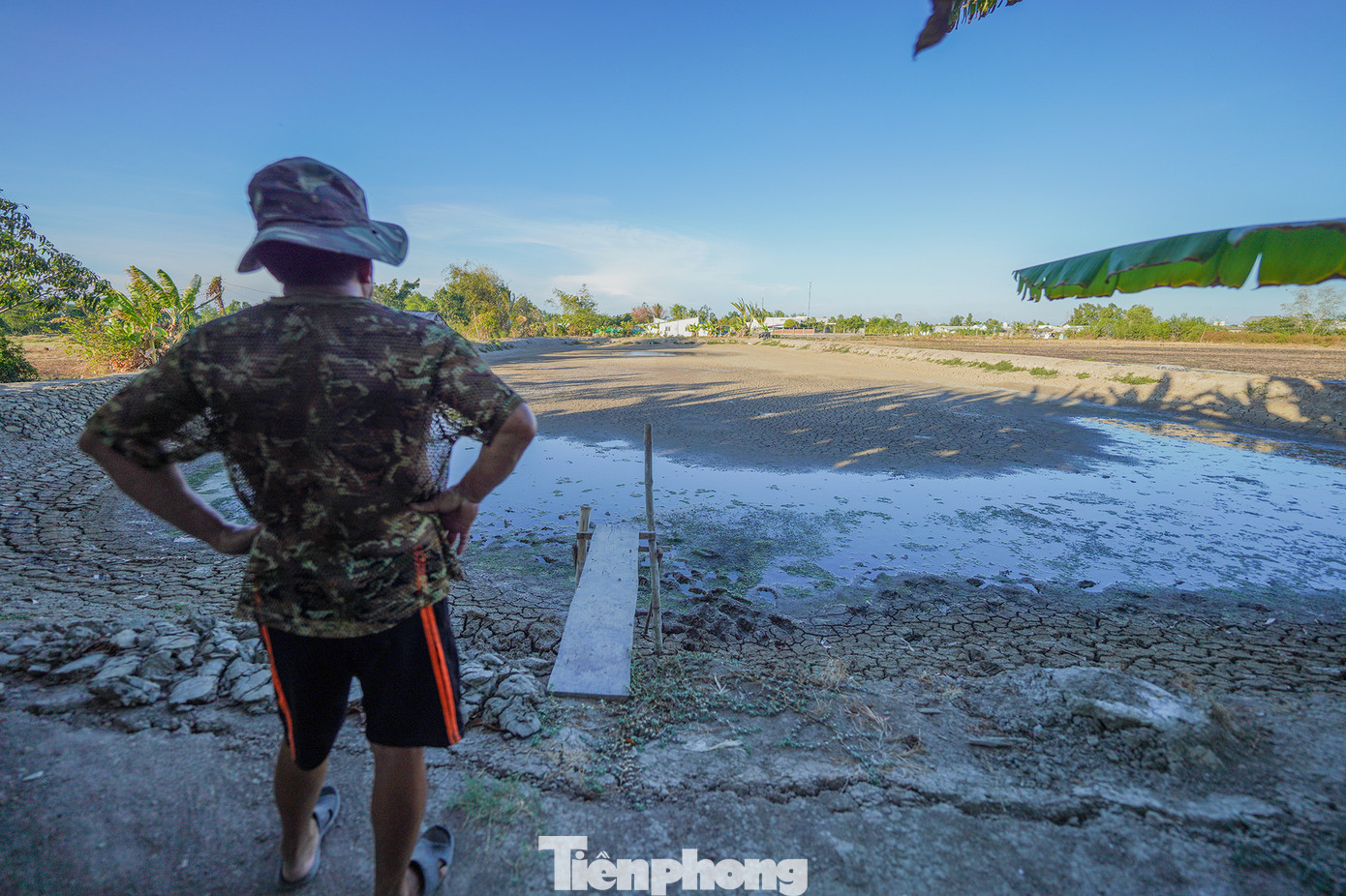 Người dân bất lực nhìn ruộng đồng chết khô đi qua mùa hạn từ sau tết nguyên đán. UBND huyện Cần Giuộc cũng đã bố trí 44 điểm cấp nước trên địa bàn 5 xã đang ảnh hưởng thiếu nước. "Hai tháng trời tôi và hàng xóm luôn trong tình trạng thiếu nước, quá kinh khủng. Tôi còn nhớ lần hạn gần đây nhất là vào năm 2000, nhưng không đến nỗi trơ đáy ao như thế này. Vợ tôi ngày cũng vác đòn gánh đi xin nước nhưng có giọt nào đâu. Nếu muốn có nước sinh hoạt, tôi phải đem can ra tận xã để hứng (nhà ông Tám đi ra trung tâm xã Tân Tập phải qua đoạn đường đê dài khoảng 300m)", ông Tám (ngụ xã Tân Tập) xót xa. Người dân bất lực nhìn ruộng đồng chết khô đi qua mùa hạn từ sau tết nguyên đán. UBND huyện Cần Giuộc cũng đã bố trí 44 điểm cấp nước trên địa bàn 5 xã đang ảnh hưởng thiếu nước. "Hai tháng trời tôi và hàng xóm luôn trong tình trạng thiếu nước, quá kinh khủng. Tôi còn nhớ lần hạn gần đây nhất là vào năm 2000, nhưng không đến nỗi trơ đáy ao như thế này. Vợ tôi ngày cũng vác đòn gánh đi xin nước nhưng có giọt nào đâu. Nếu muốn có nước sinh hoạt, tôi phải đem can ra tận xã để hứng (nhà ông Tám đi ra trung tâm xã Tân Tập phải qua đoạn đường đê dài khoảng 300m)", ông Tám (ngụ xã Tân Tập) xót xa.