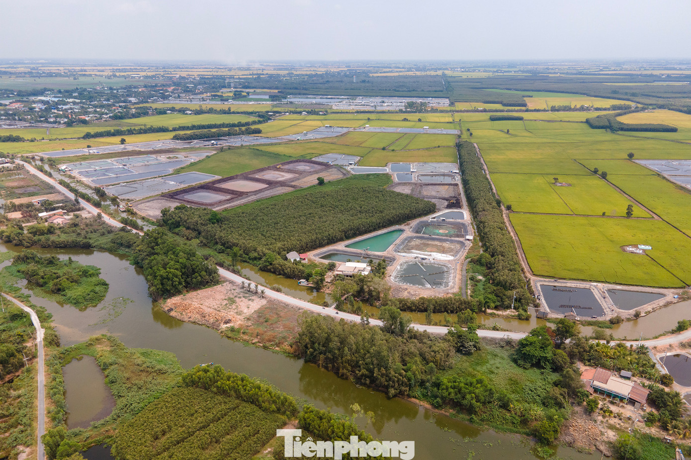 Từ đầu năm 2023 đến nay, có 4 trường hợp người trồng lúa khiếu nại người dân nuôi tôm. Từ đầu năm 2023 đến nay, có 4 trường hợp người trồng lúa khiếu nại người dân nuôi tôm.