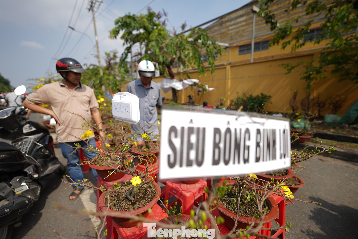 &quot;Đến gần trưa mà chợ còn đông lắm. Tôi đem hai chậu mai Con Cọp này ra câu khách, kêu giá 6 triệu một cặp, có người trả 5 triệu mà tôi không bán. Bán tiếc lắm, đem ra câu khách thôi&quot;, anh Tuấn, nhà vườn Bến Tre dí dỏm.